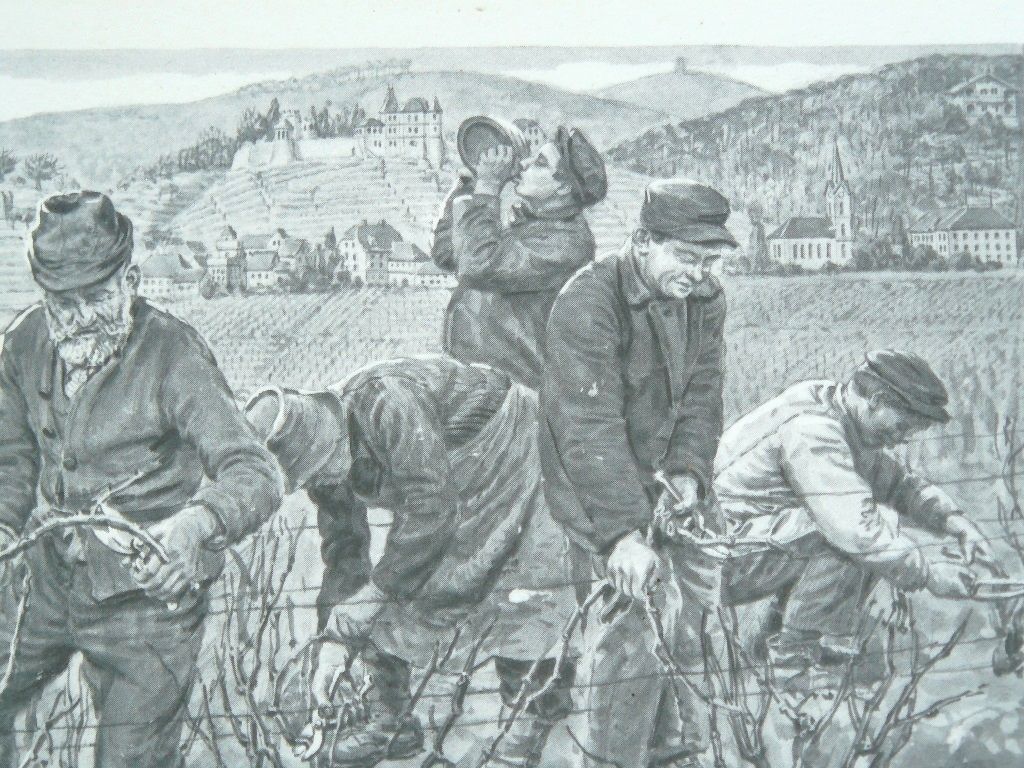 Strieffler Heinrich Rebenschneiden Grafik 42x32. B068