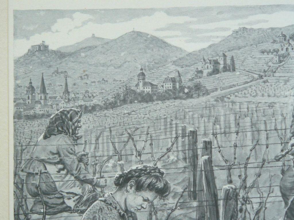 Strieffler Heinrich Rebenschneiden Grafik 42x32. B068