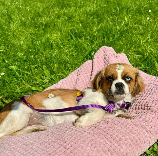 Rina sucht ihre Lieblingsmenschen...