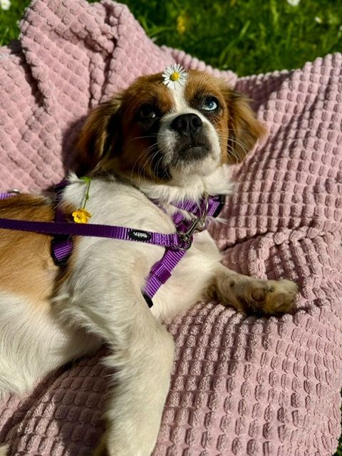 Rina sucht ihre Lieblingsmenschen...