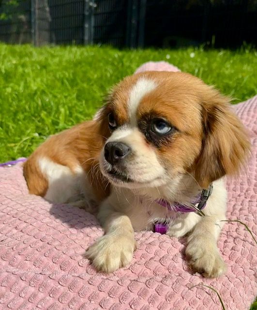 Rina sucht ihre Lieblingsmenschen...