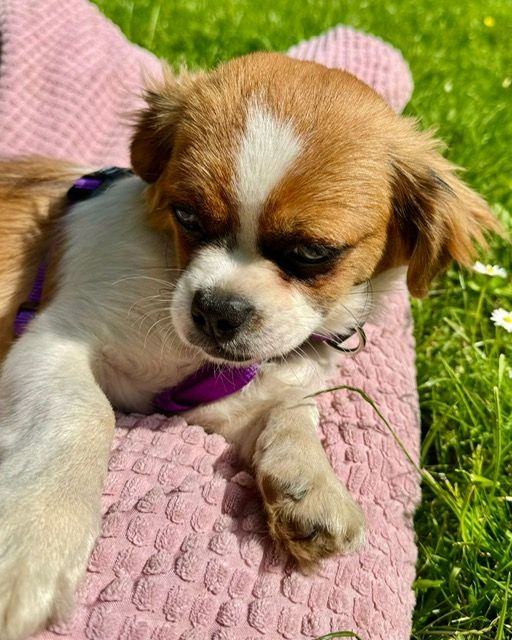 Rina sucht ihre Lieblingsmenschen...