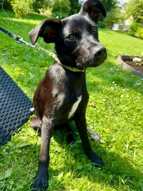 Miniko möchte endlich ankommen....