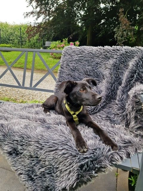 Miniko möchte endlich ankommen....