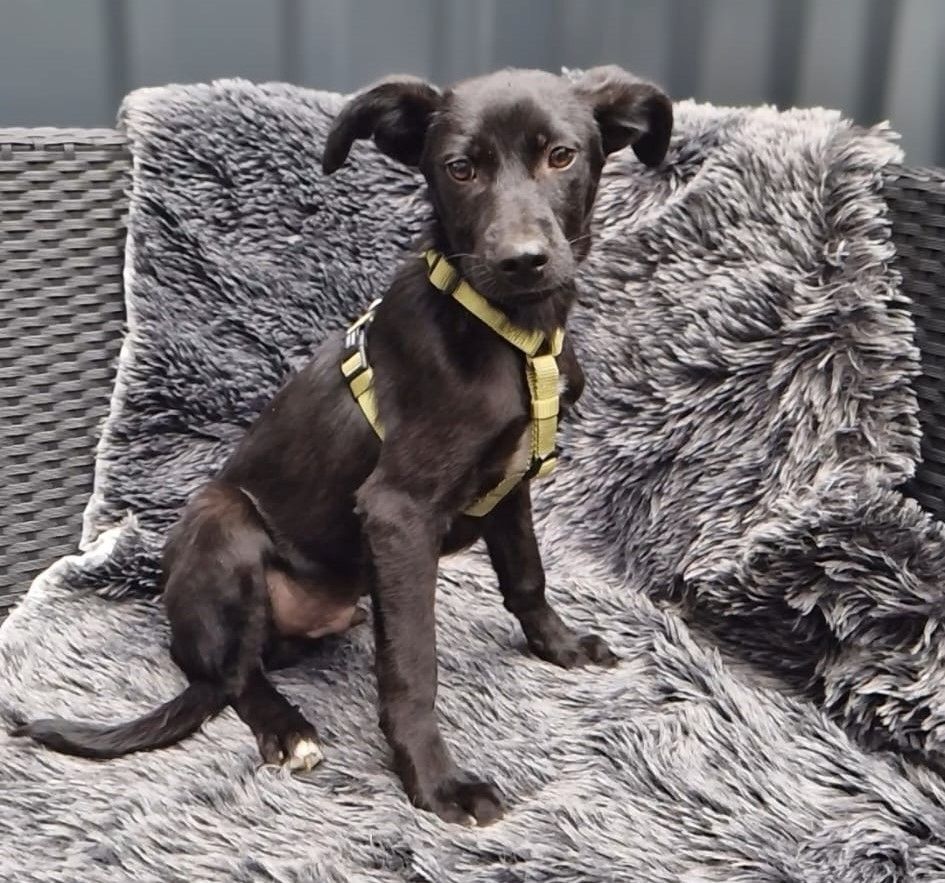 Miniko möchte endlich ankommen....