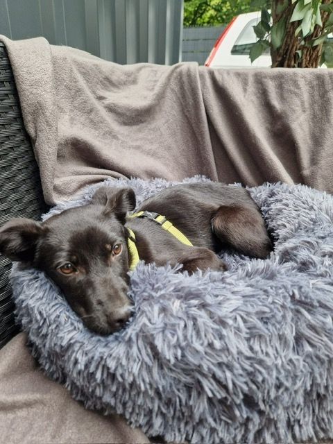 Miniko möchte endlich ankommen....