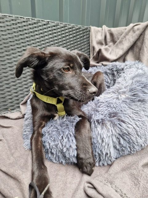 Miniko möchte endlich ankommen....