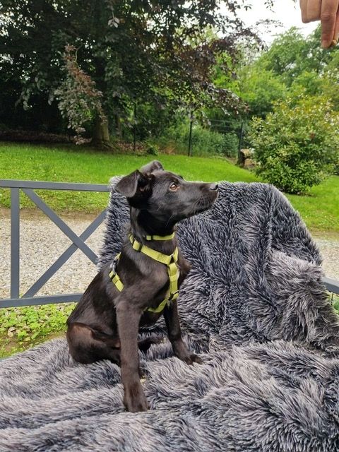 Miniko möchte endlich ankommen....