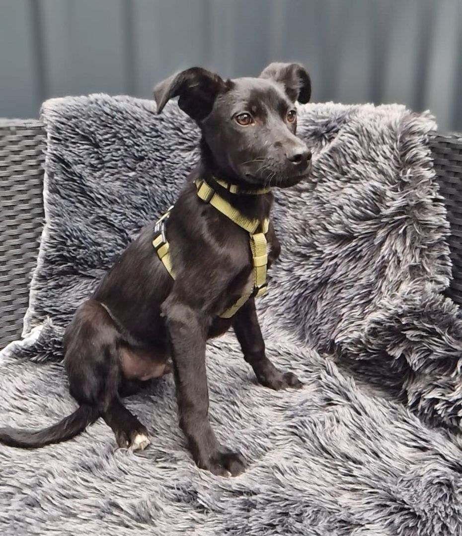 Miniko möchte endlich ankommen....