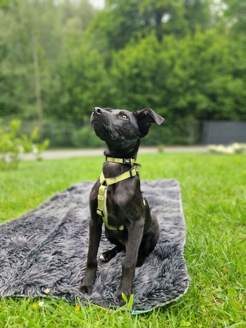 Miniko möchte endlich ankommen....