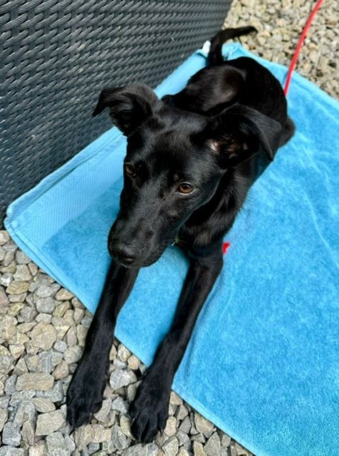 Miniko möchte endlich ankommen....