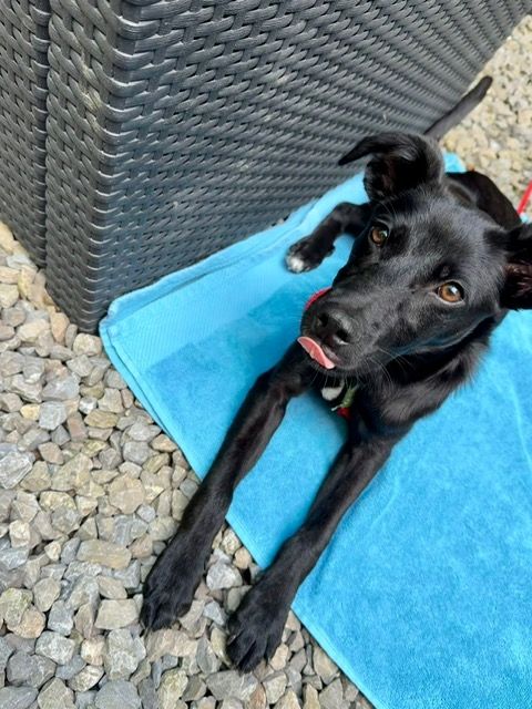 Miniko möchte endlich ankommen....