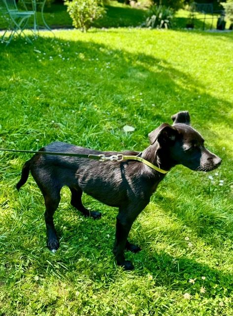 Miniko möchte endlich ankommen....