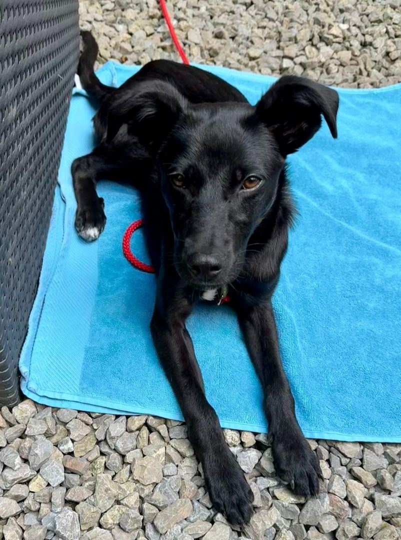 Miniko möchte endlich ankommen....