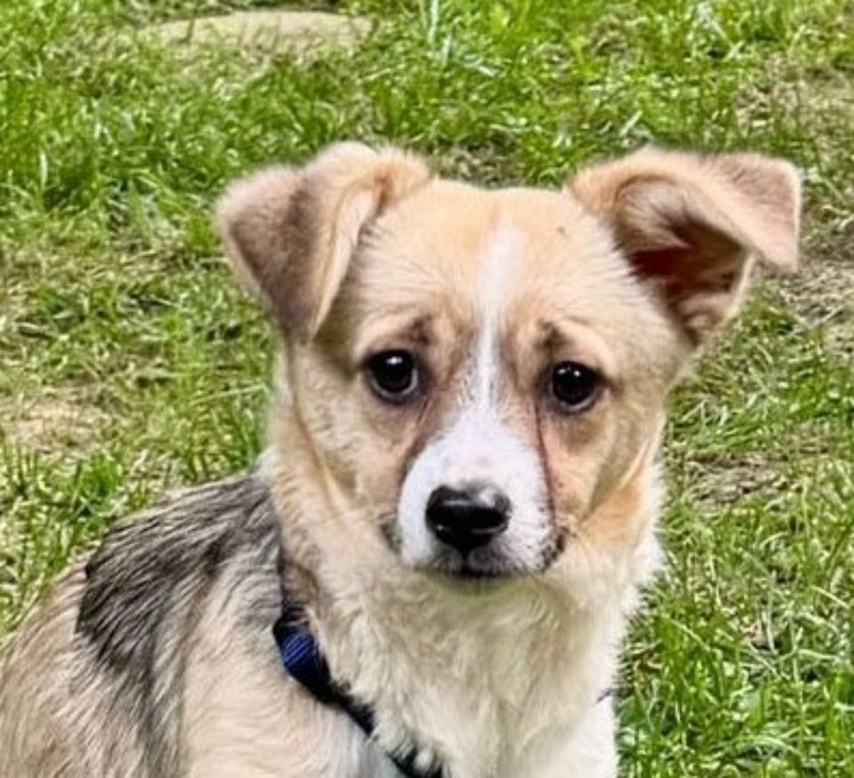 Sunshine möchte deine Wegbegleiterin sein.