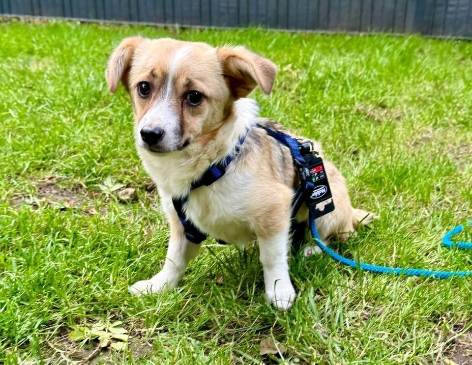 Sunshine möchte deine Wegbegleiterin sein.