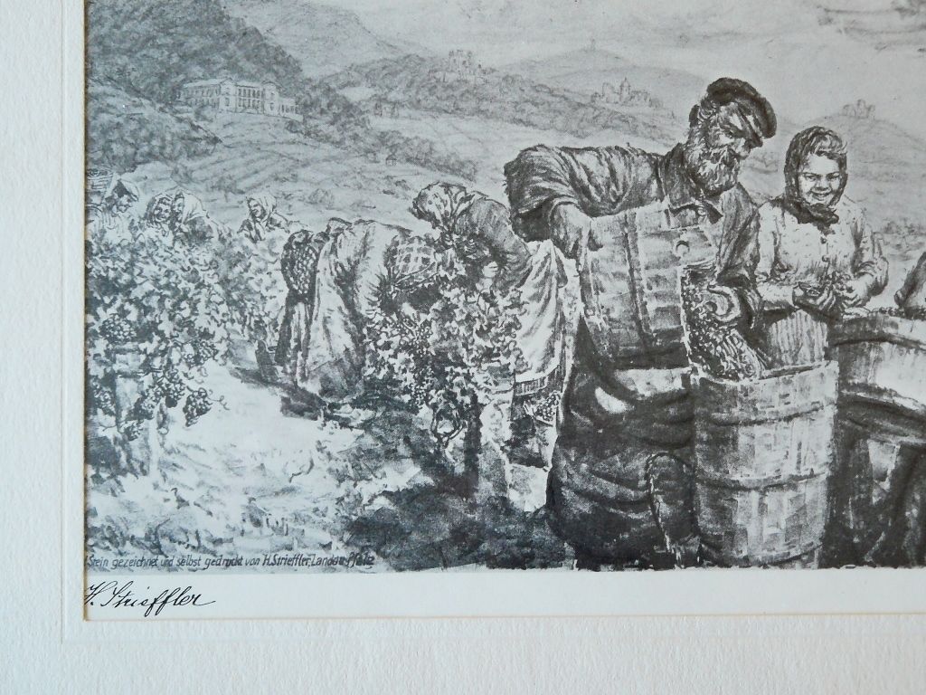 Strieffler Heinrich Beerenauslese Grafik 42x32. B074