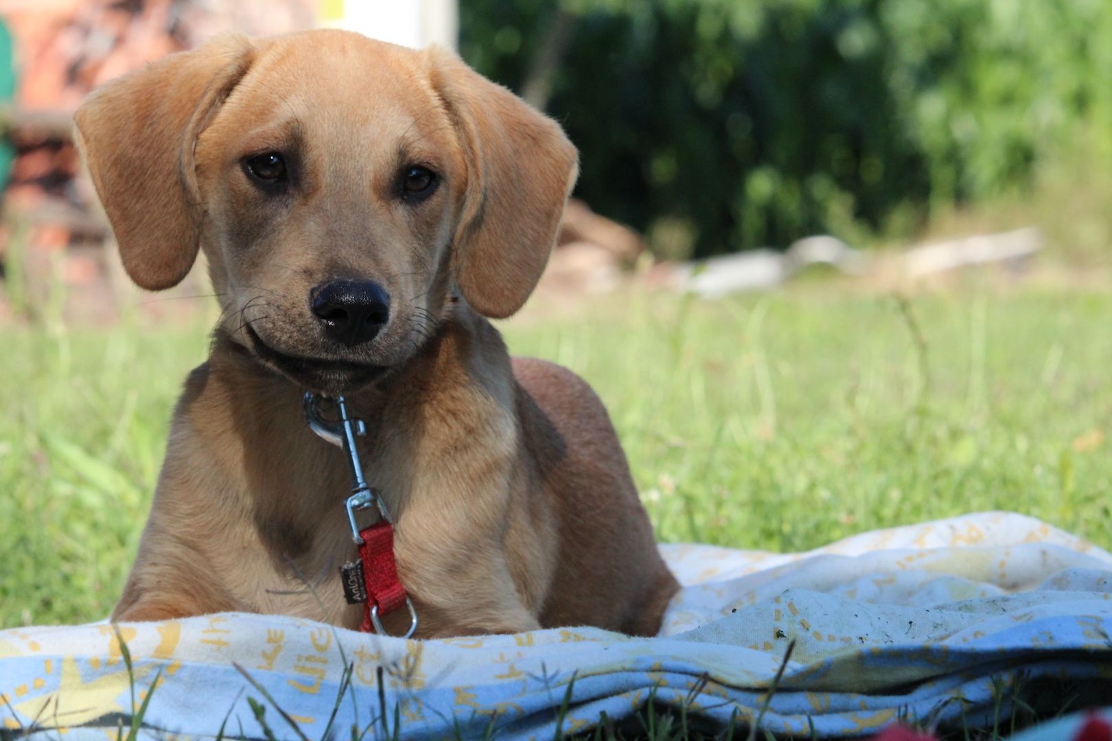 Akio sucht seine Lieblingsmenschen... Akio sucht seine Lieblingsmenschen...