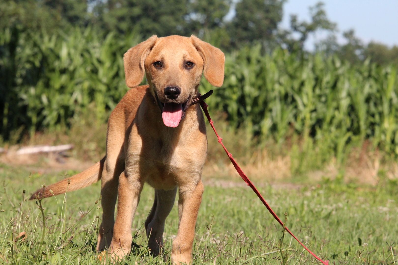 Akio sucht seine Lieblingsmenschen... Akio sucht seine Lieblingsmenschen...