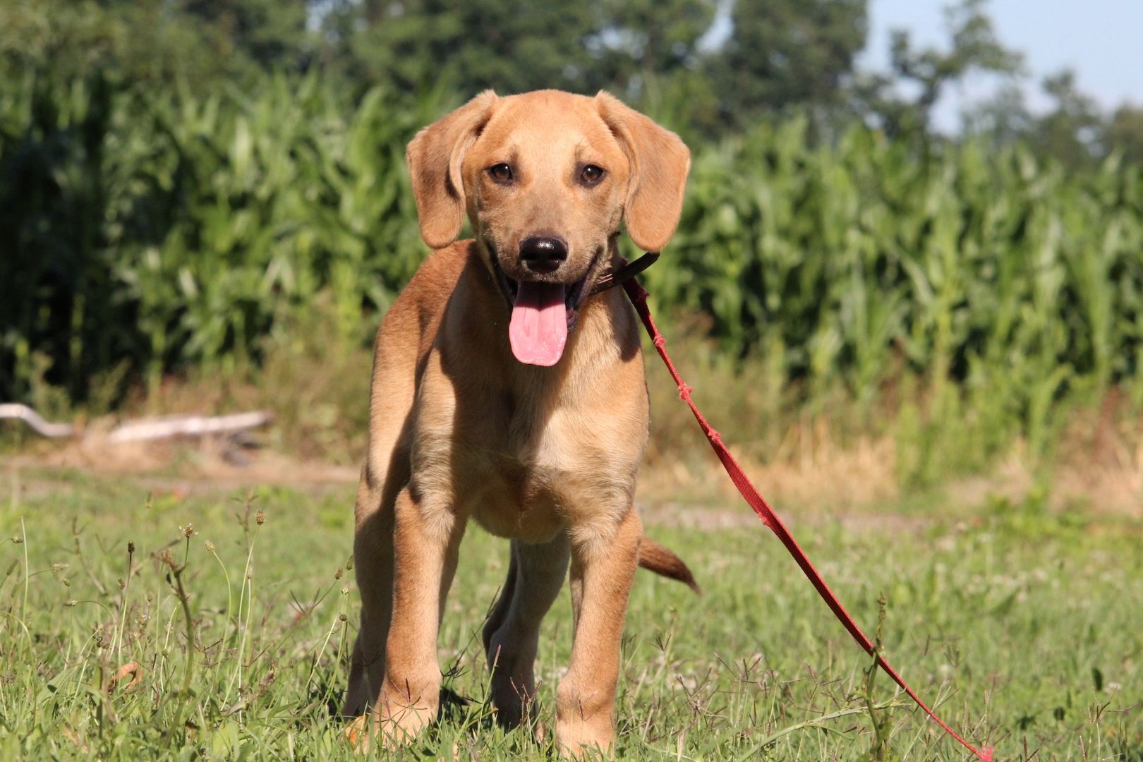 Akio sucht seine Lieblingsmenschen... Akio sucht seine Lieblingsmenschen...