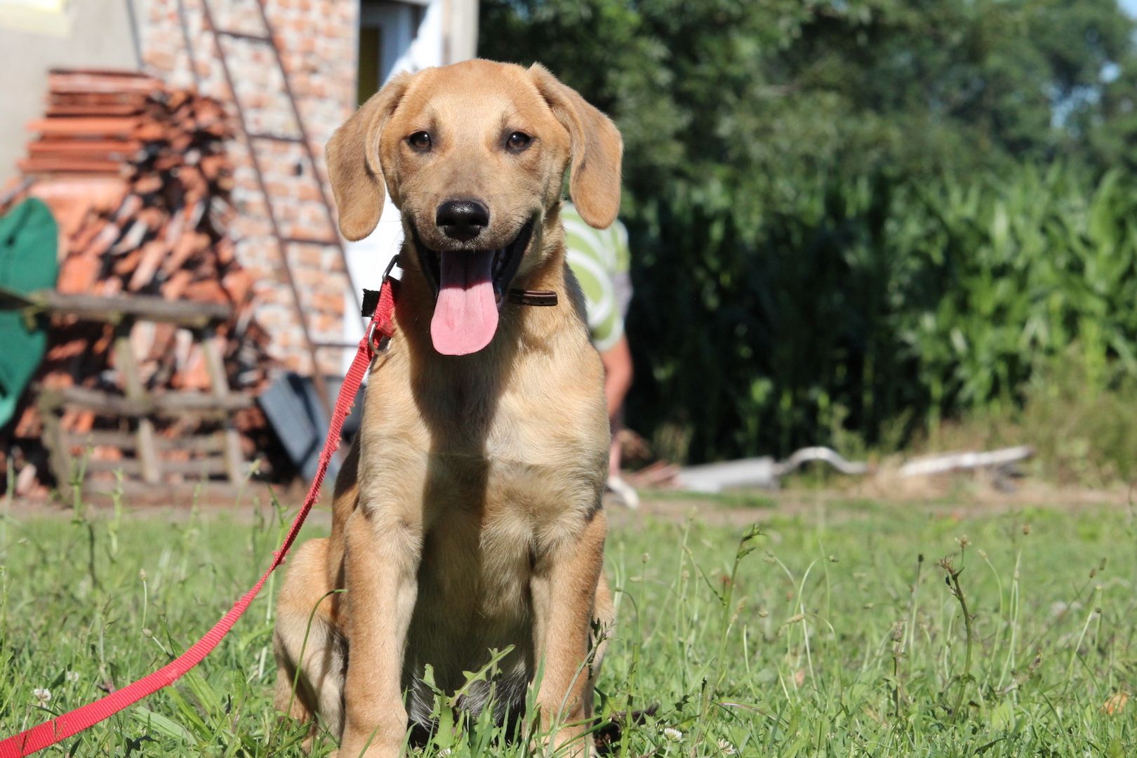 Akio sucht seine Lieblingsmenschen... Akio sucht seine Lieblingsmenschen...