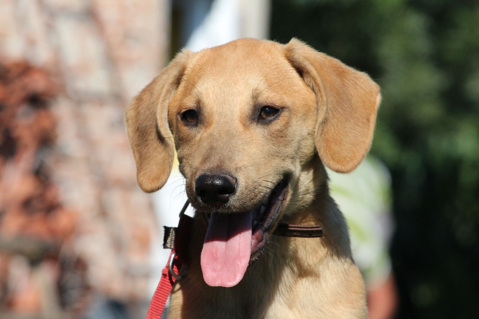 Akio sucht seine Lieblingsmenschen... Akio sucht seine Lieblingsmenschen...