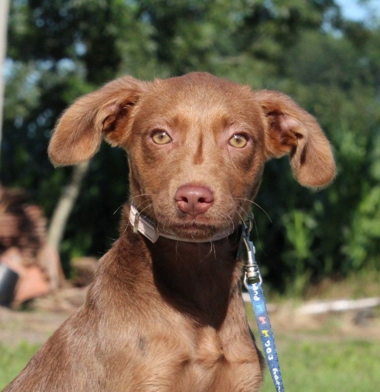 Kairi unser Sonnenschein.... Kairi unser Sonnenschein....