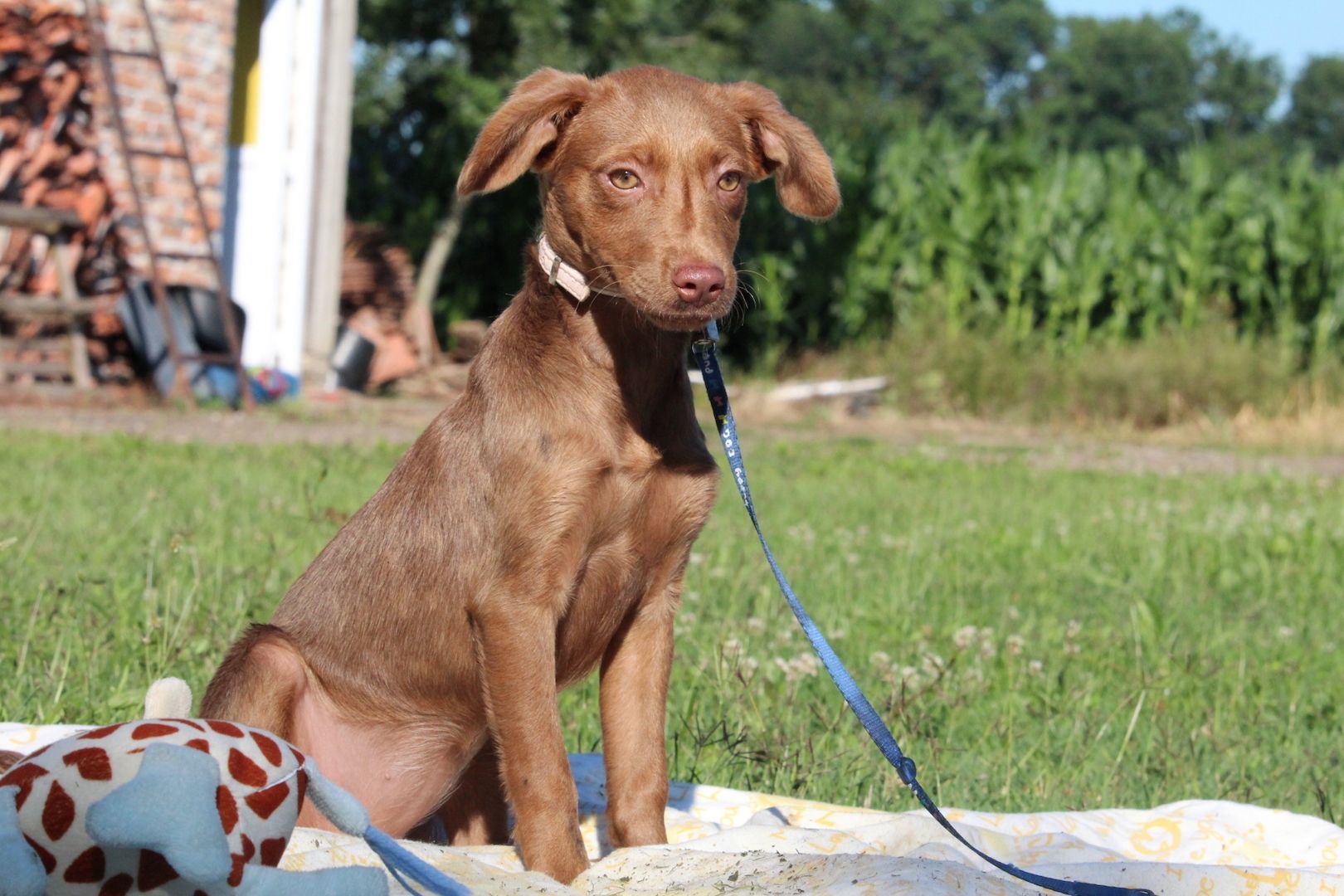 Kairi unser Sonnenschein.... Kairi unser Sonnenschein....