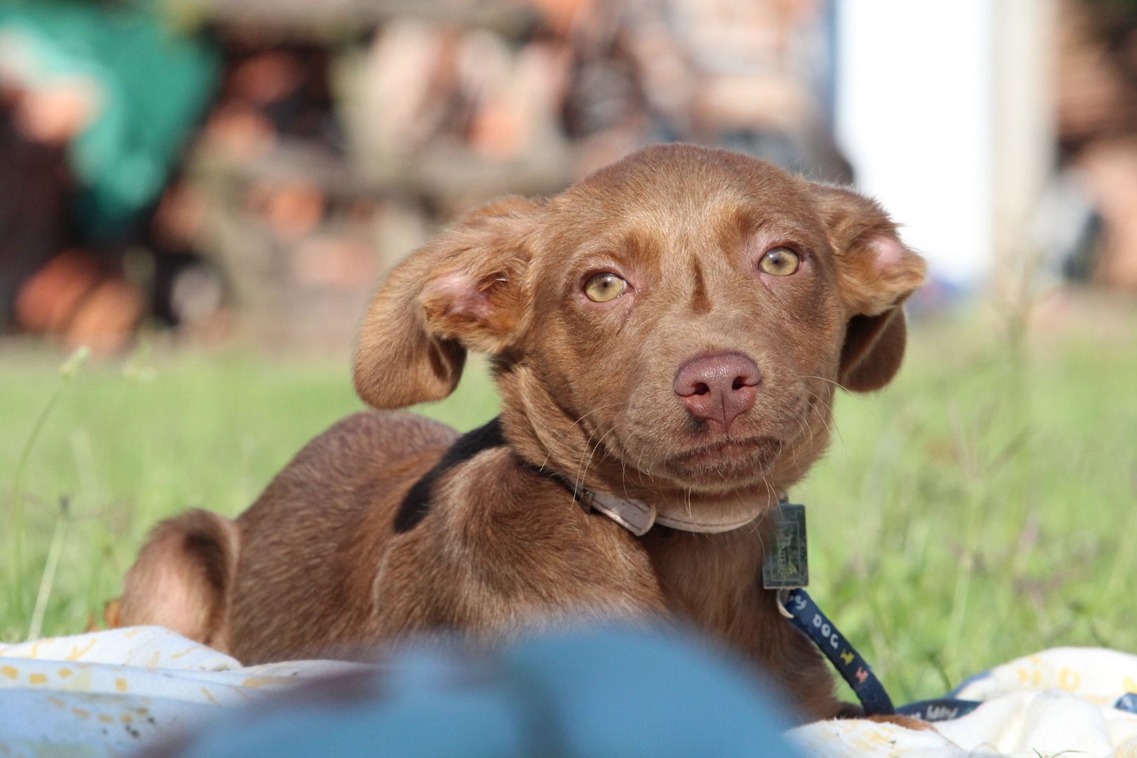 Kairi unser Sonnenschein.... Kairi unser Sonnenschein....