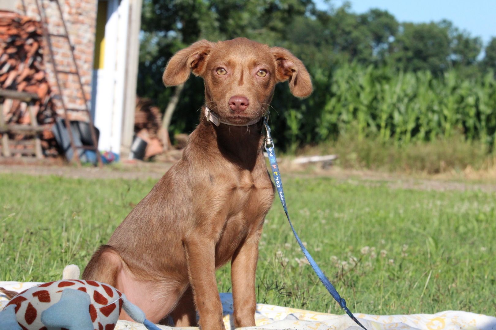 Kairi unser Sonnenschein.... Kairi unser Sonnenschein....