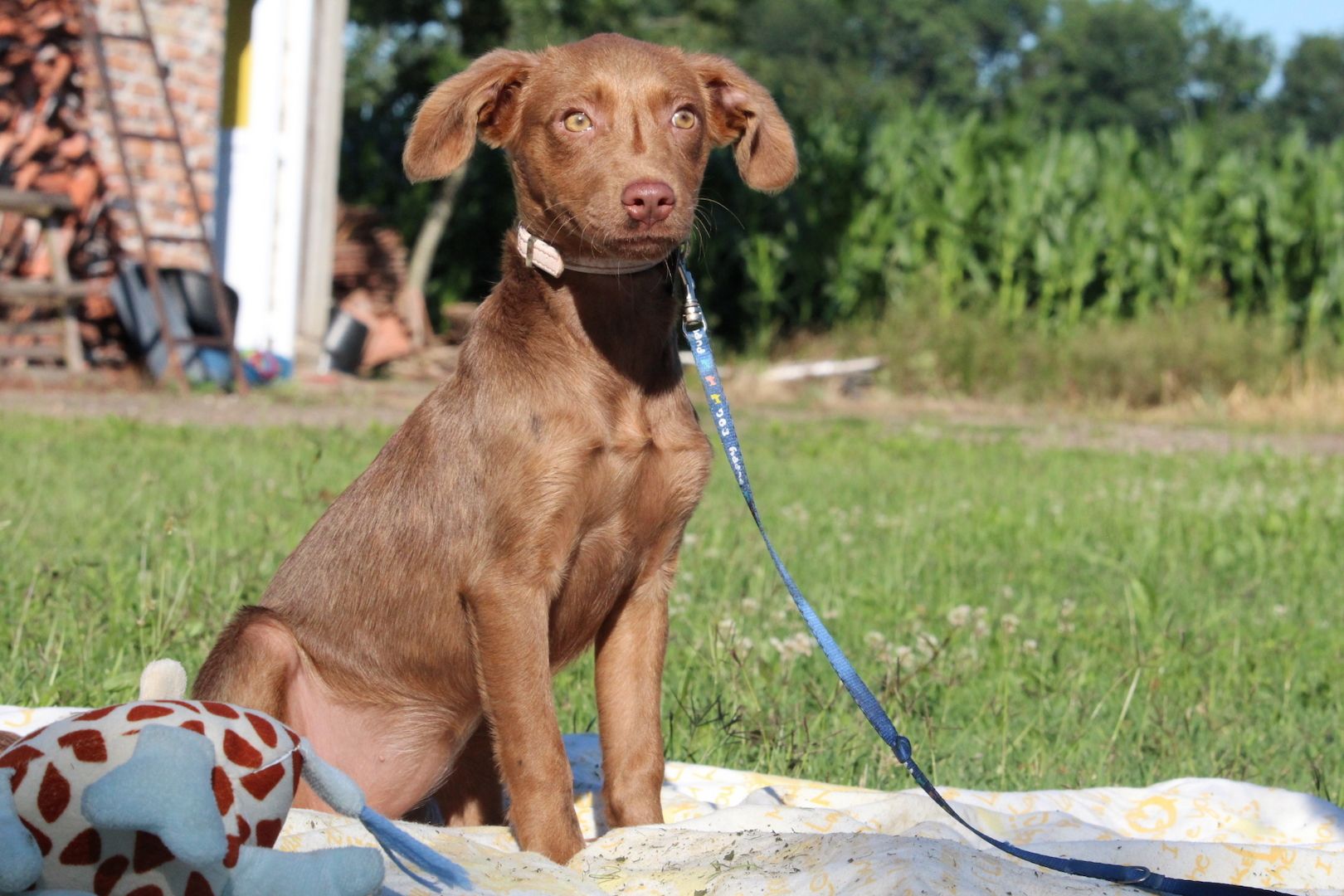 Kairi unser Sonnenschein.... Kairi unser Sonnenschein....