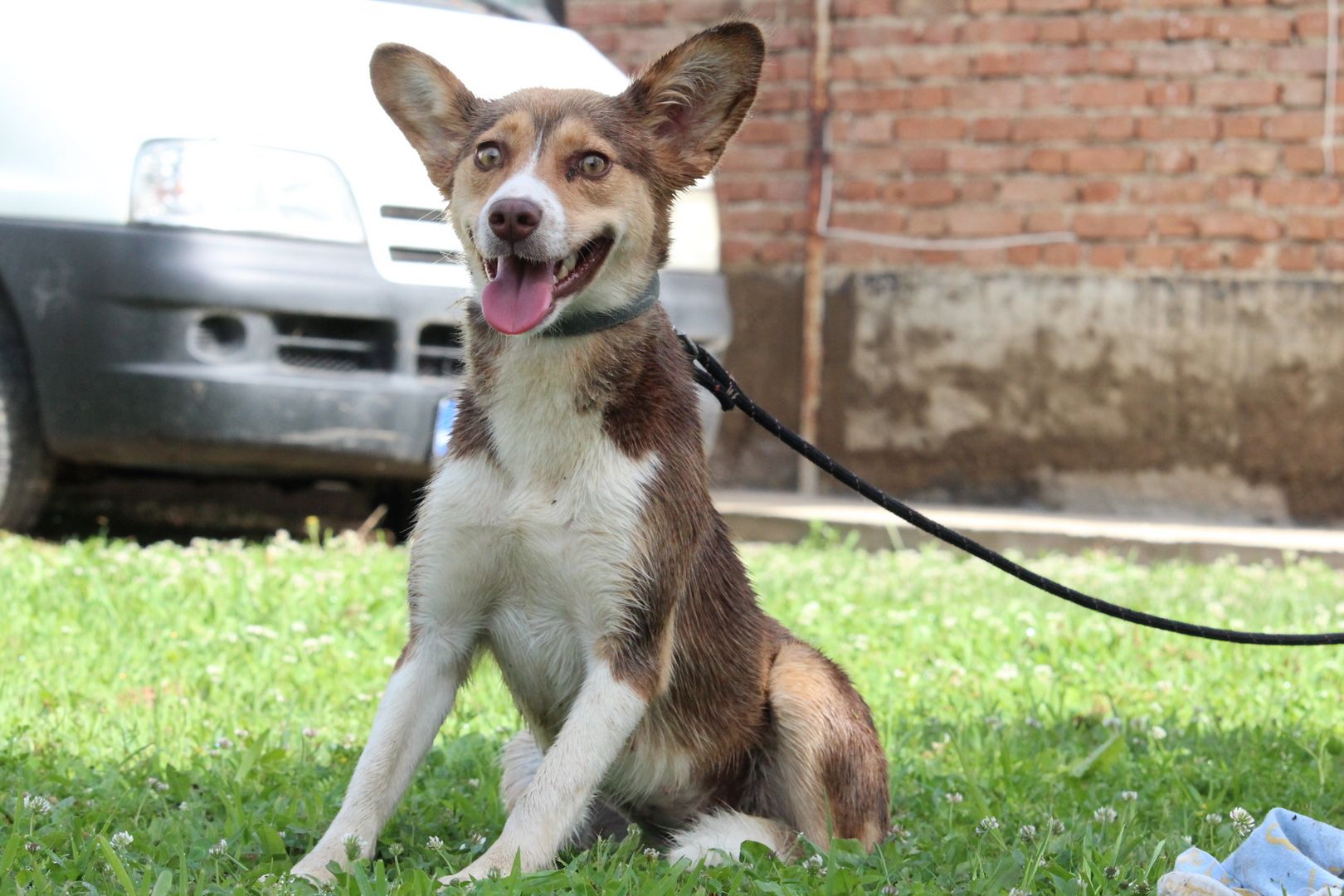 Sissi sucht ihr Glück...