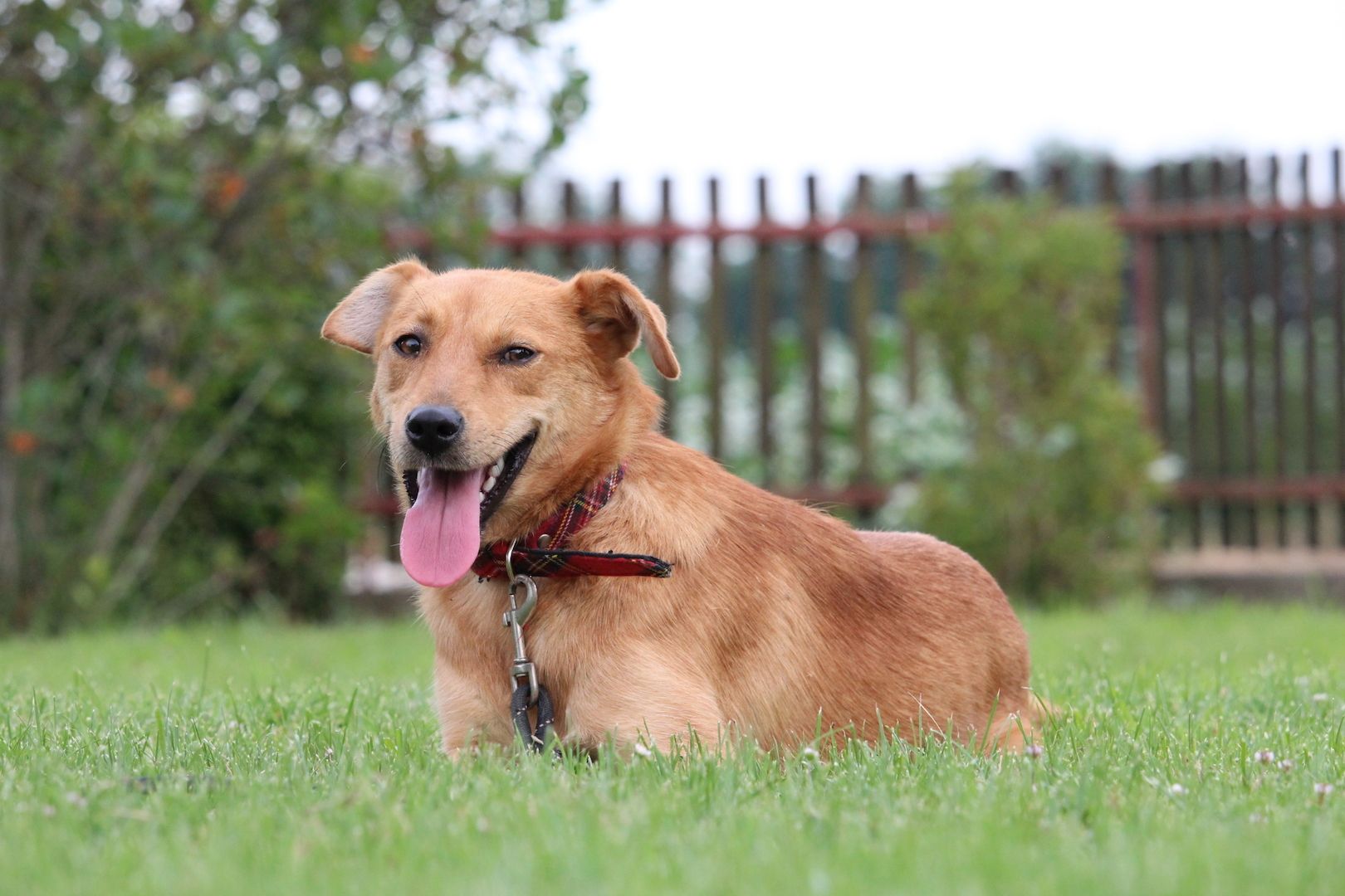 Sima möchte mit Dir die Welt entdecken...