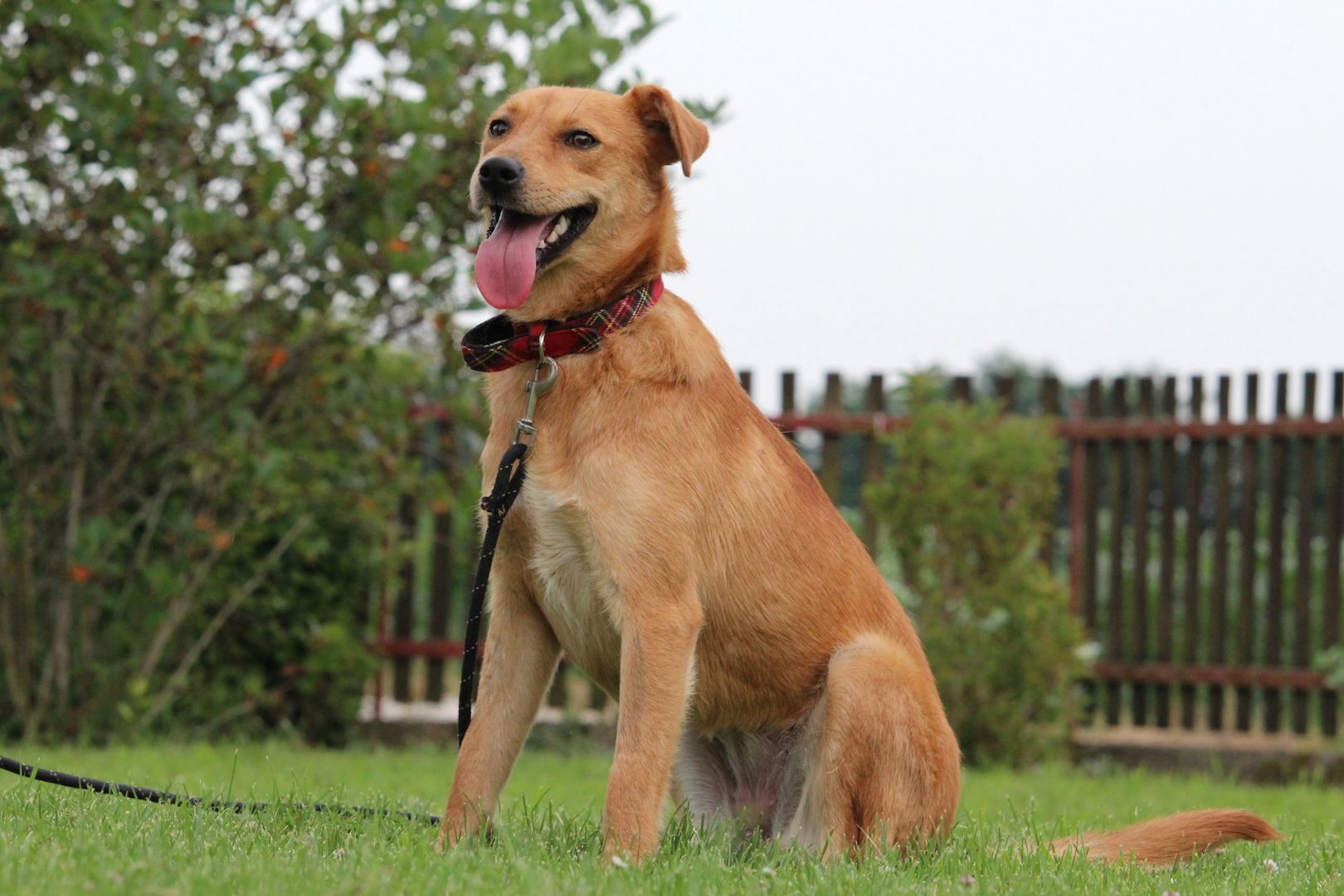 Sima möchte mit Dir die Welt entdecken...