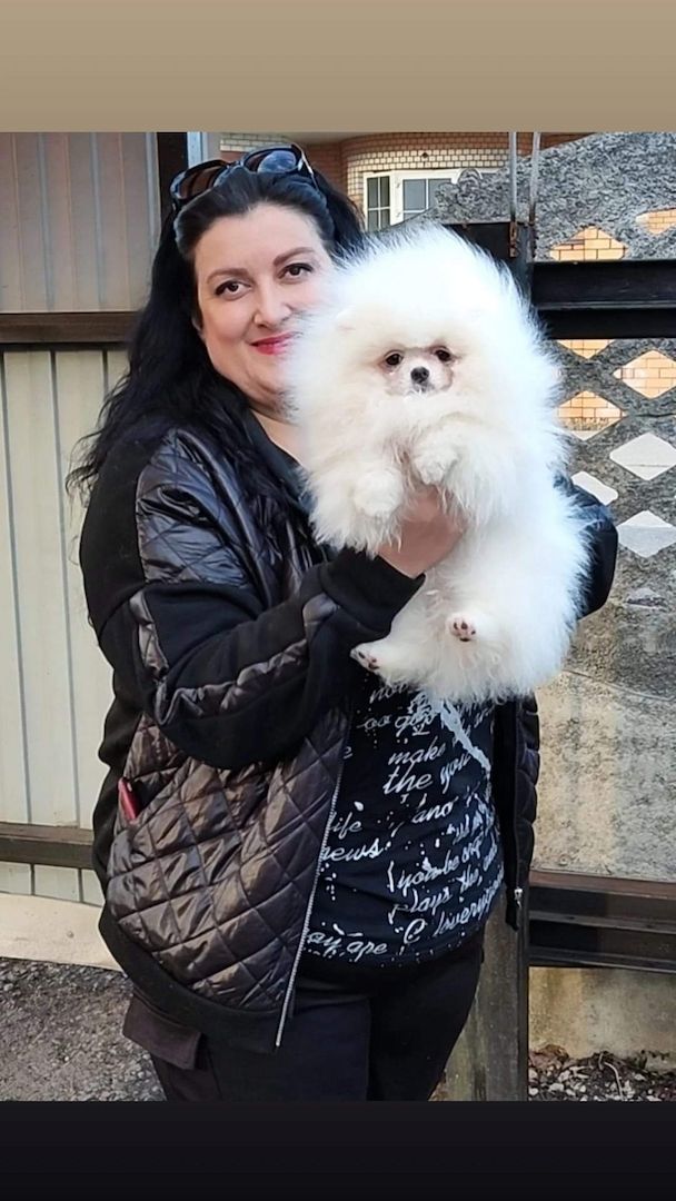 Entzückende Pomeranian-Welpen für ein gutes Zuhause