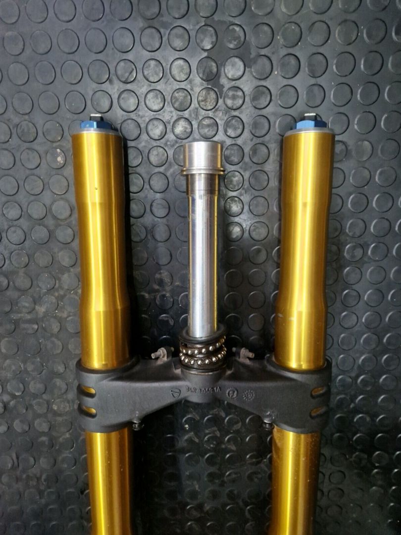 Ducati Panigale 1199S 1299S Ohlins Gabeln