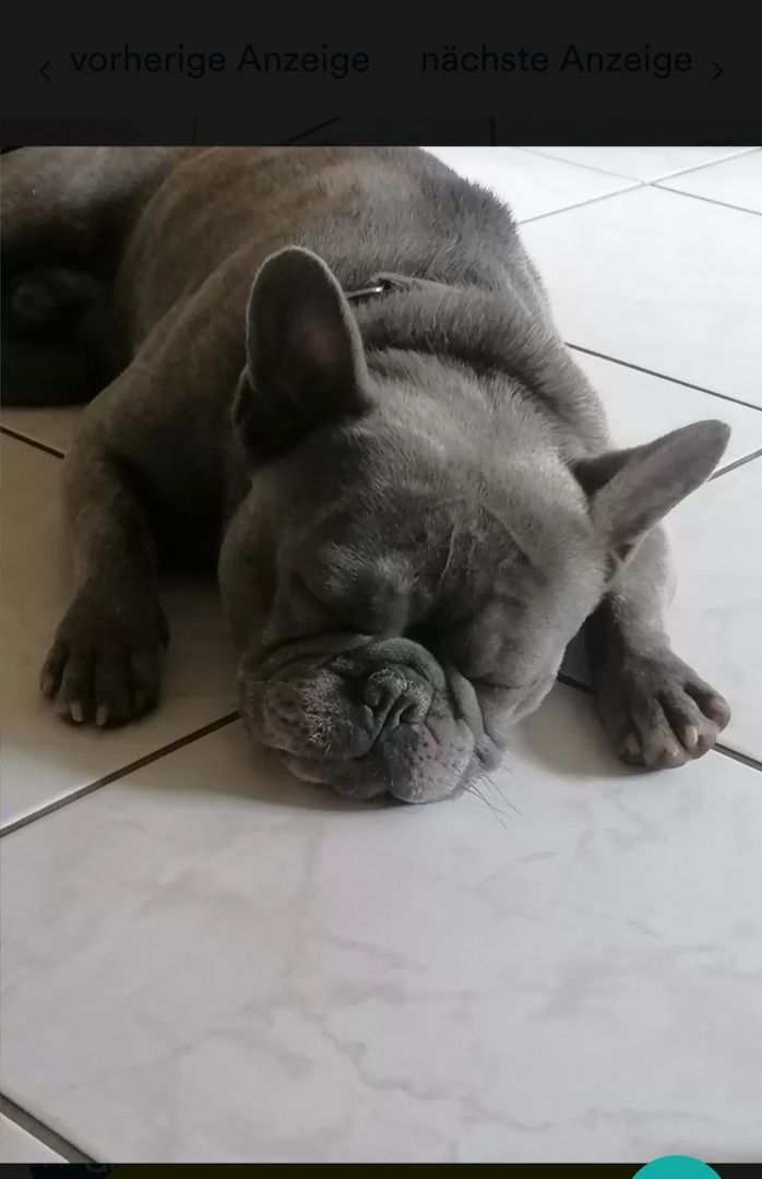 Suche dringend neues zu Hause Suche dringend neues zu Hause