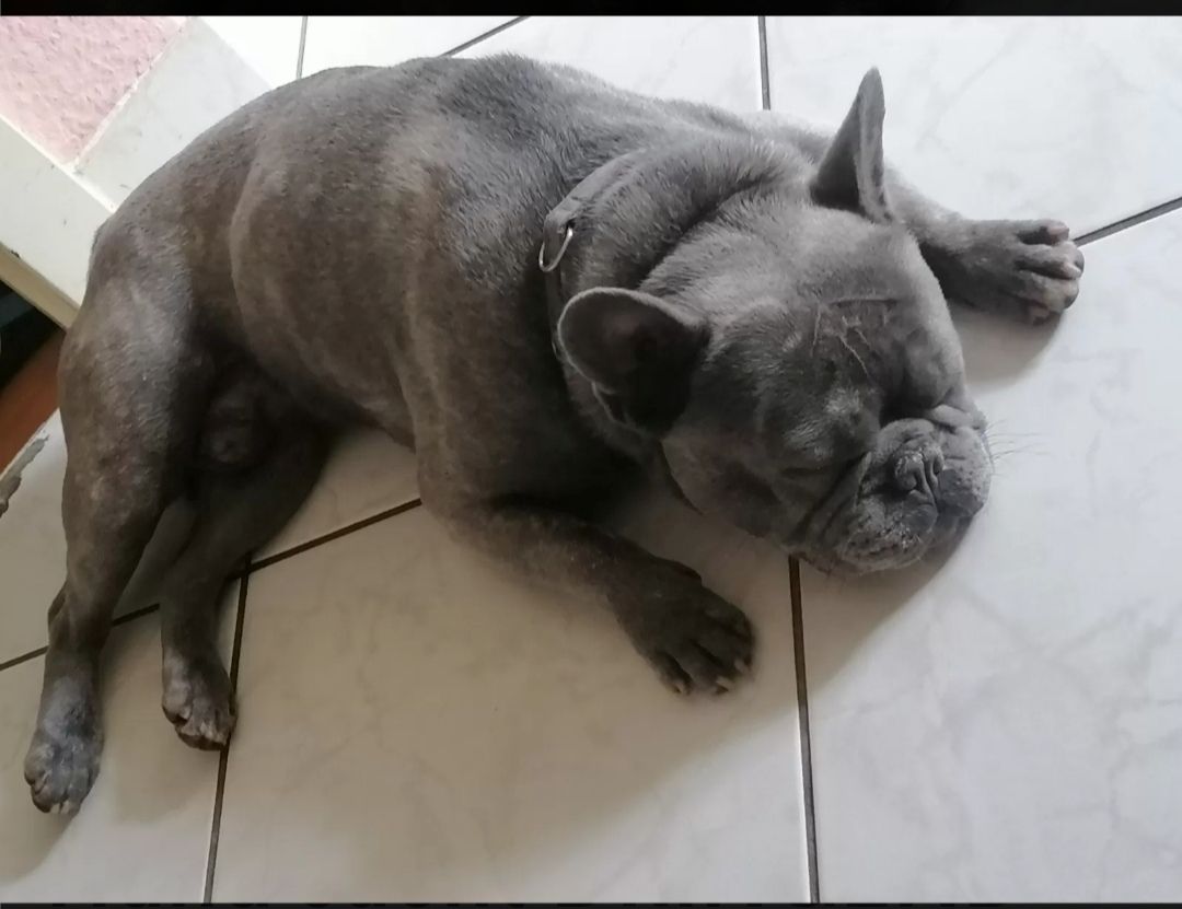 Suche dringend neues zu Hause Suche dringend neues zu Hause