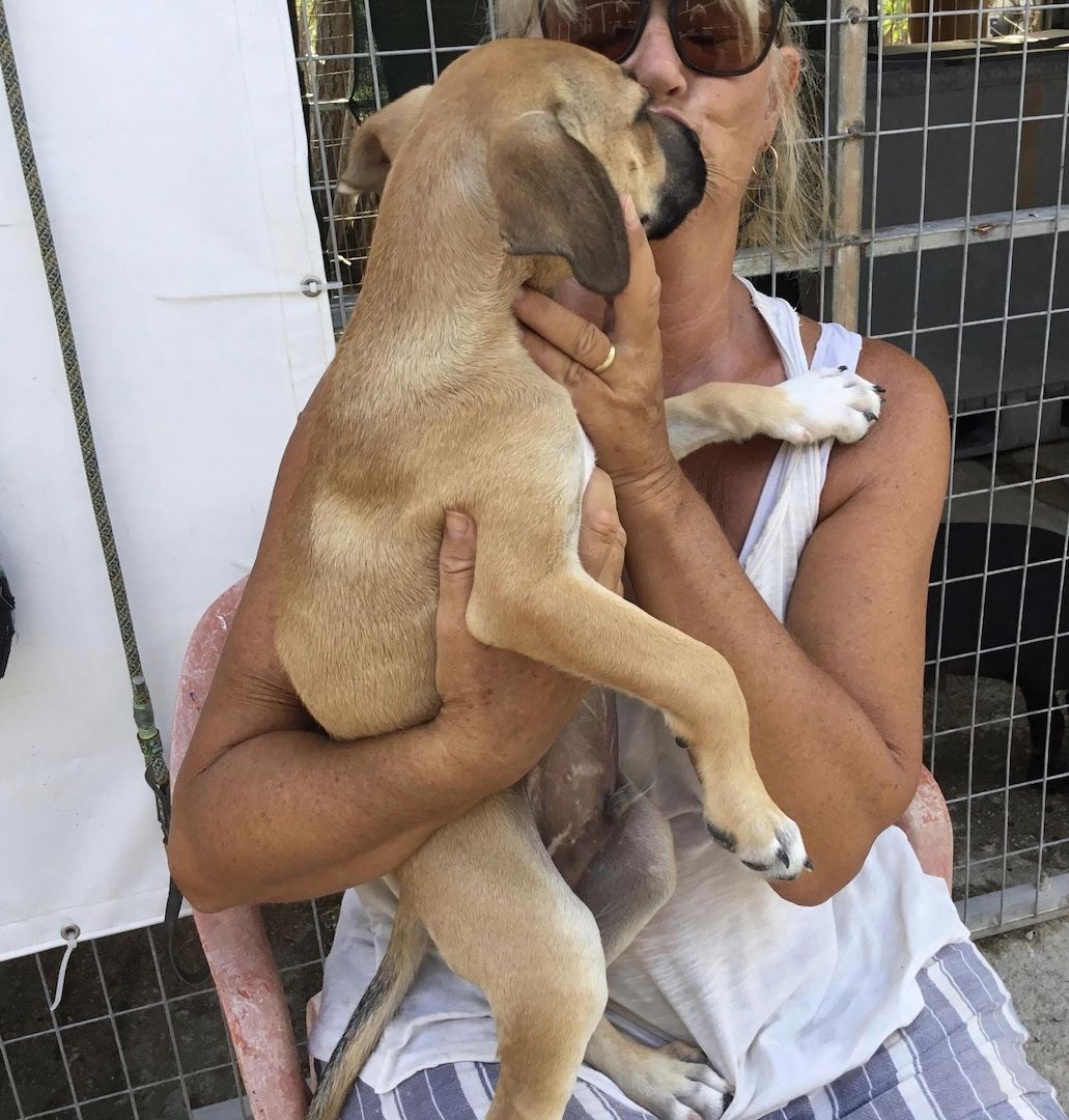 Simon sucht ein Zuhause