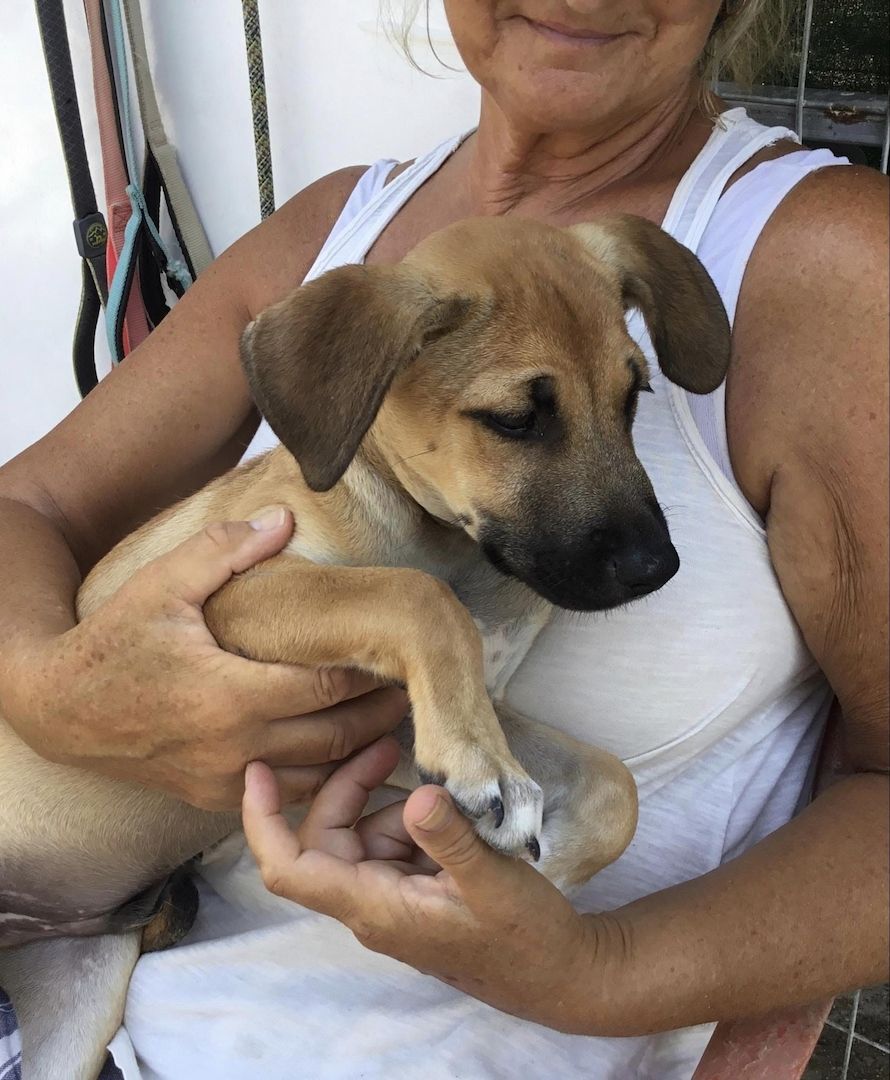 Simon sucht ein Zuhause