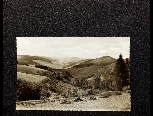 Ansichtskarte-Blick ins Oenetal bei Oedingen/Sauerland.