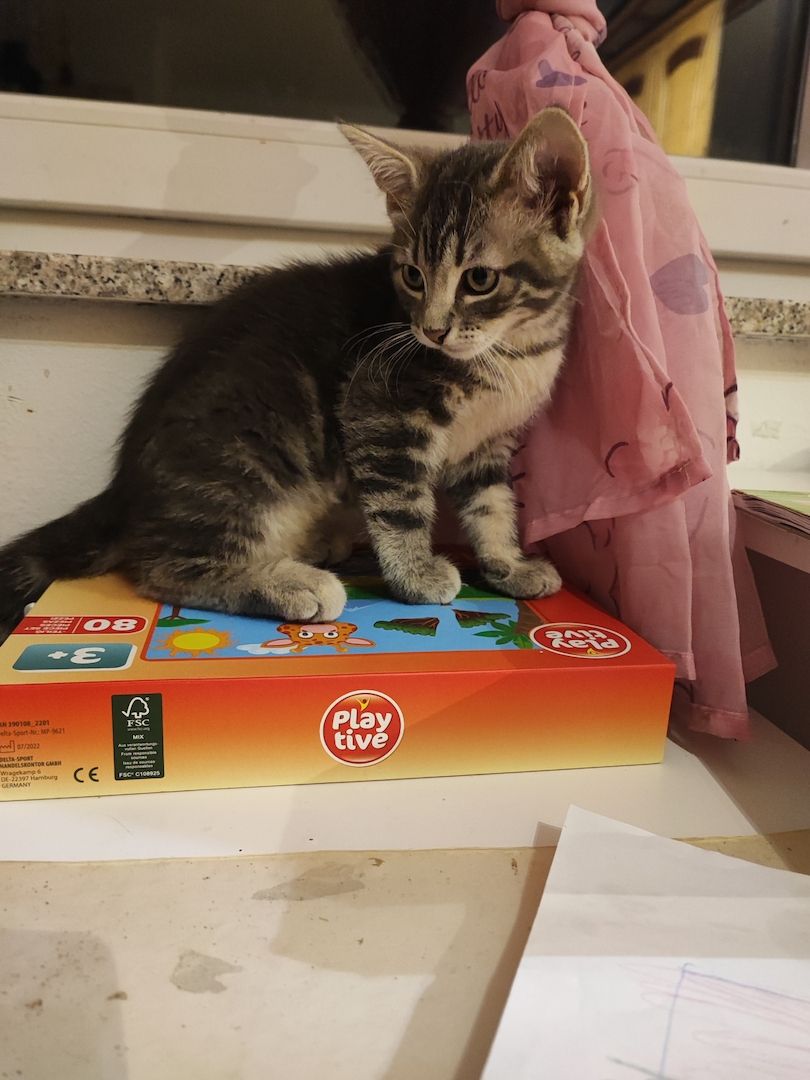 Hurra ich kann endlich ausziehen !!