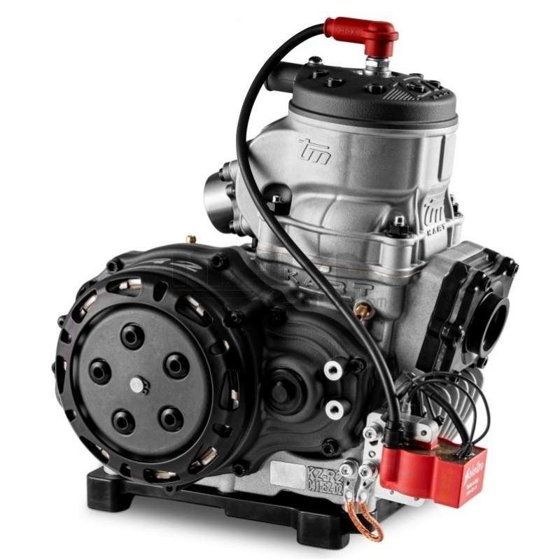 Tm, Rotax, IAME, Modena Gokart-Motor