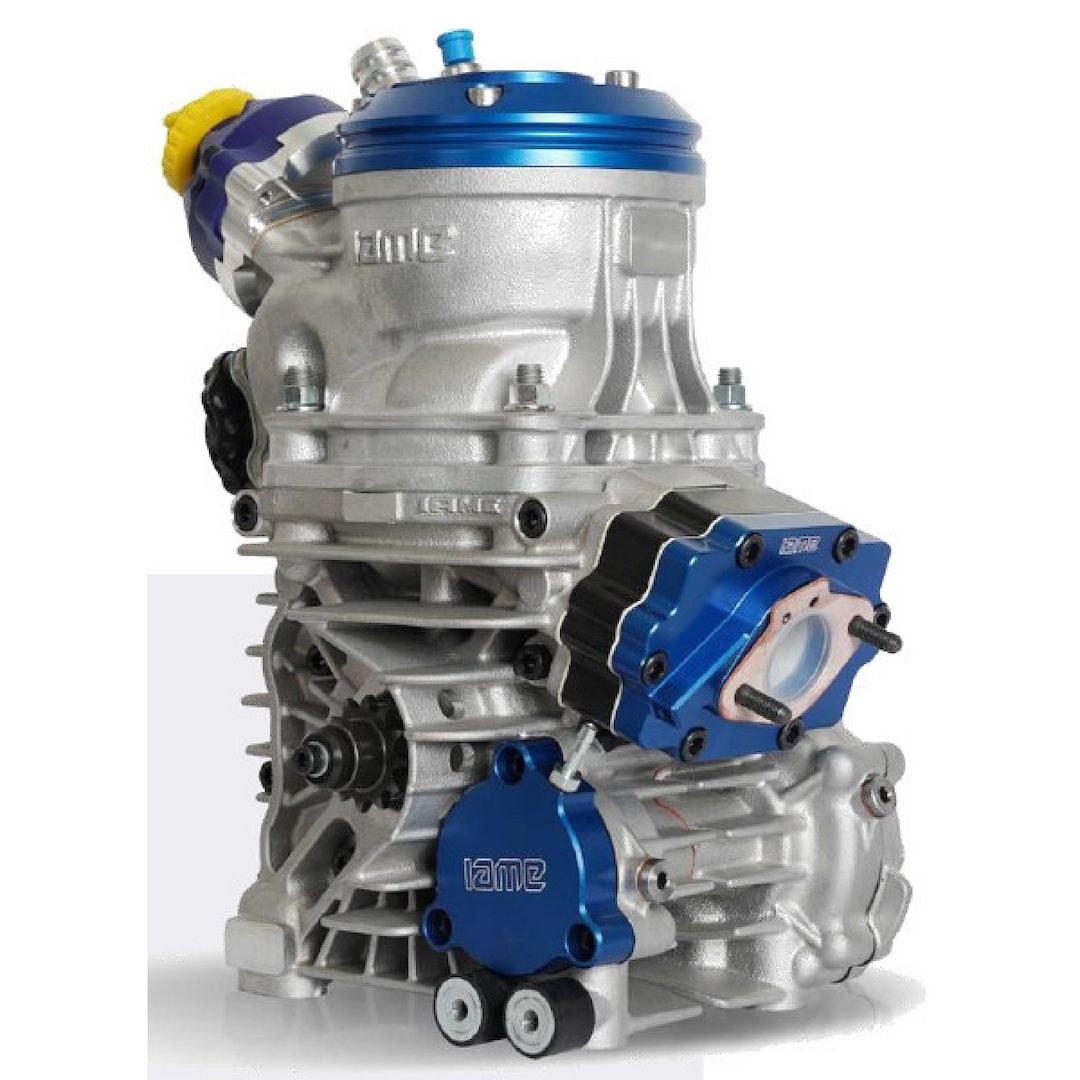 Tm, Rotax, IAME, Modena Gokart-Motor