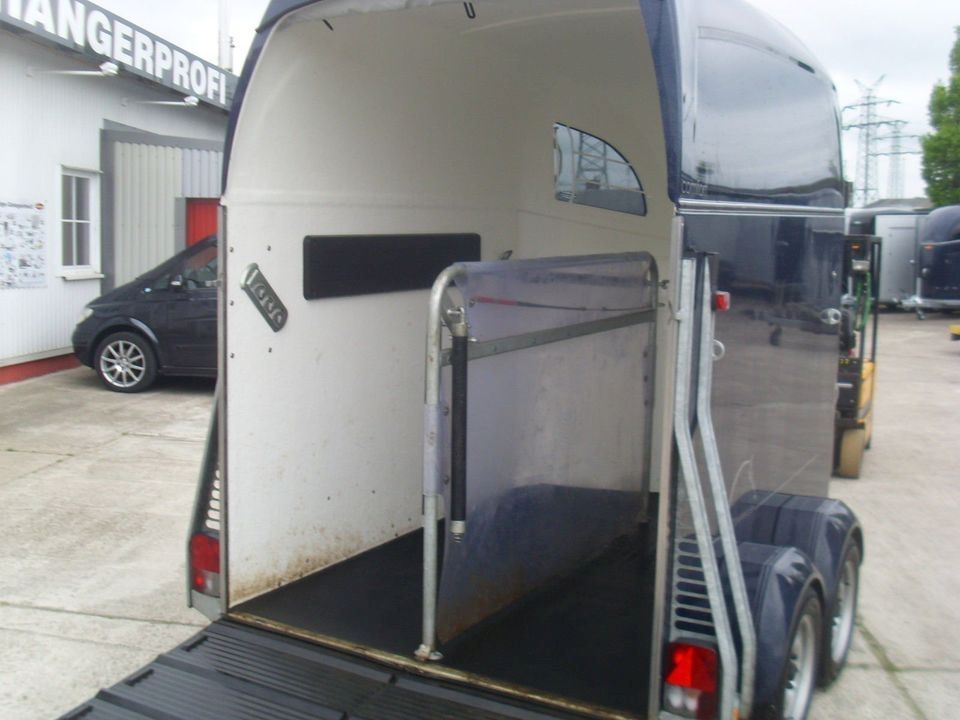 Pferdeanhänger Böckmann Comfort Aluboden Sattelkammer Vollpoly