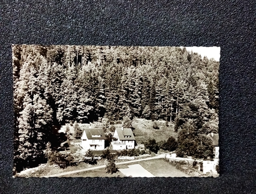 Ansichtskarte-Calmbach Haus Jauch u. Haus Rösch.