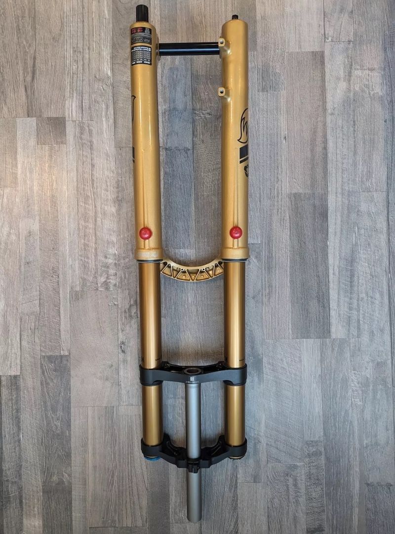 Specialized Enduro Custom S4 MTB Enduro