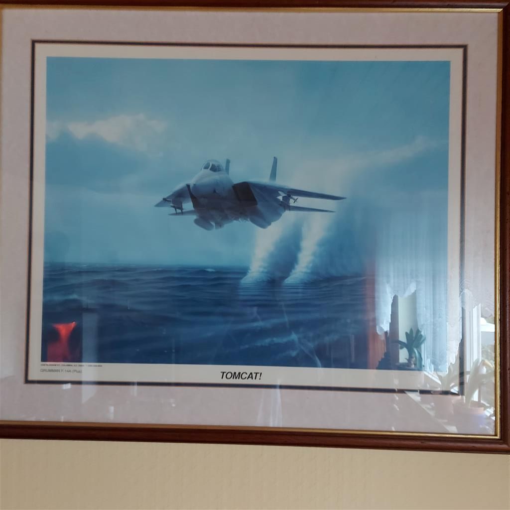 F14 Tomcat im Tiefflug übers Meer