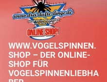 Vogelspinnen.Shop