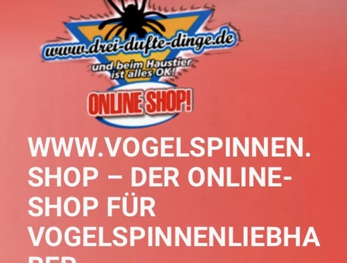 Vogelspinnen.Shop